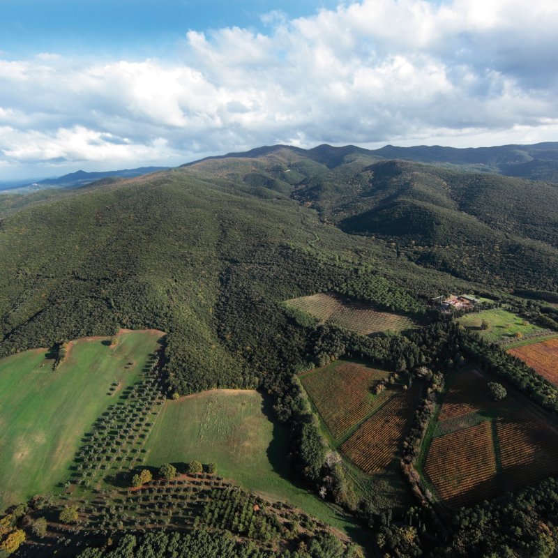Benvenuto alle “Colline della Pia”, il nuovo distretto biologico nel...